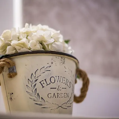 Musei Vaticani Holidays *