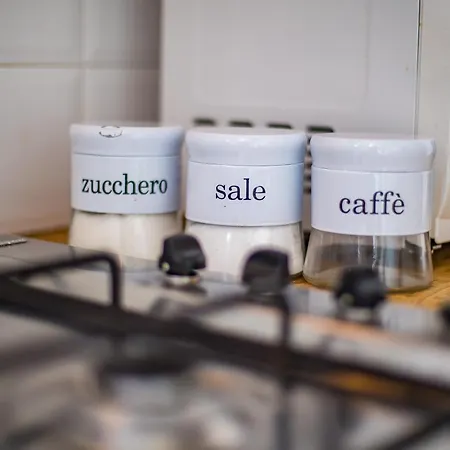 Musei Vaticani Holidays *